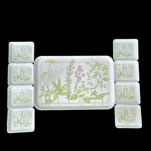 Vintage Design Imports Italy Flower Herb Melamine Tray and 8 Serving Platters