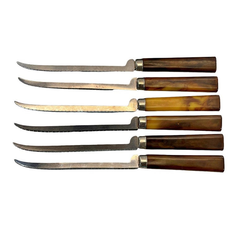 RARE VINTAGE Royal Buckingham Cutlery Knife Set 6 Knives, Stunning Handle W/box Etsy