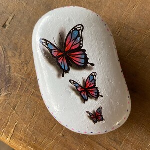 Butterfly Garden Rock, Kindness Rock, Rock Art, Bookshelf Decor