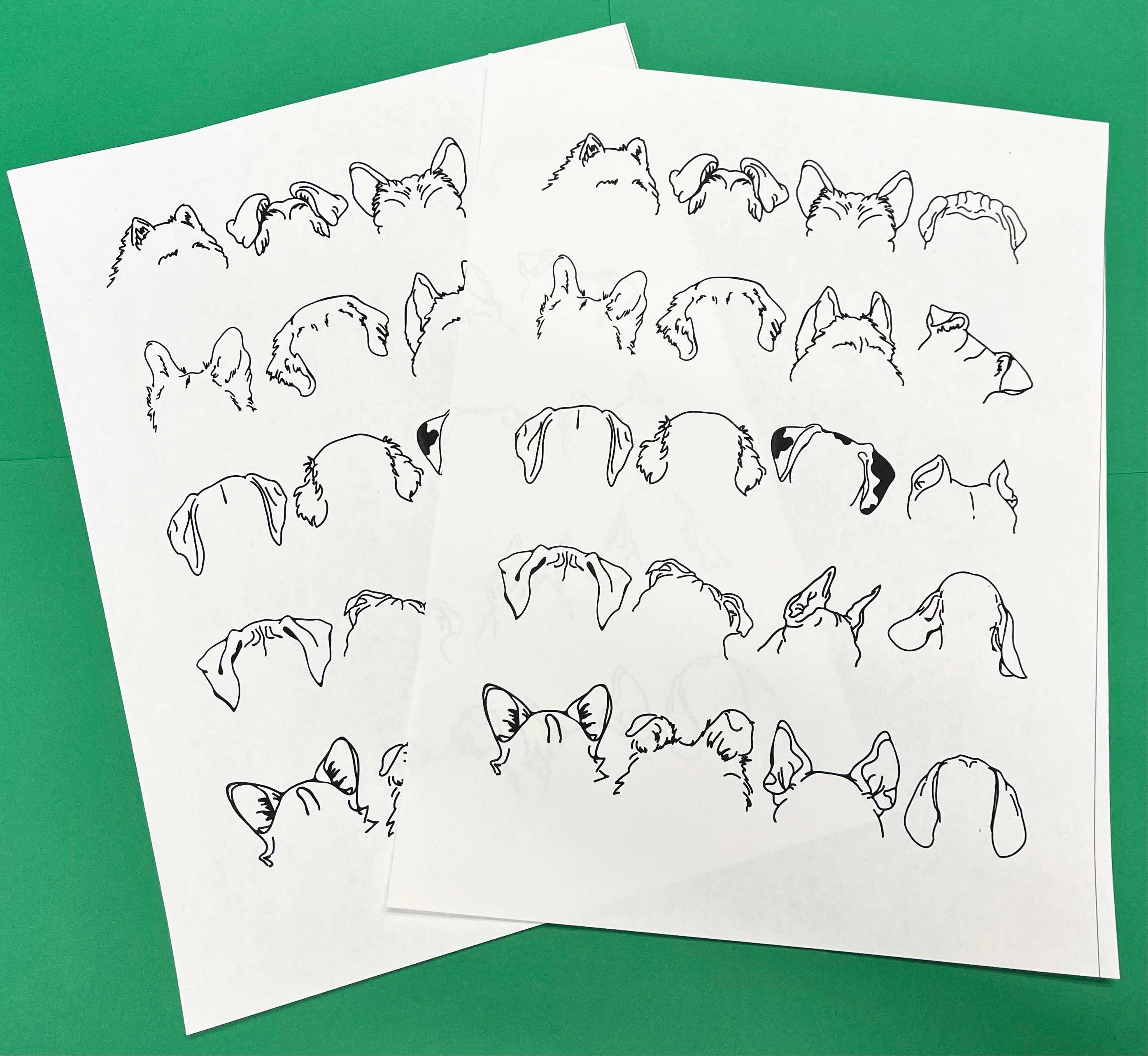 Dog Ear Blank Coloring Sheet (20) Etsy