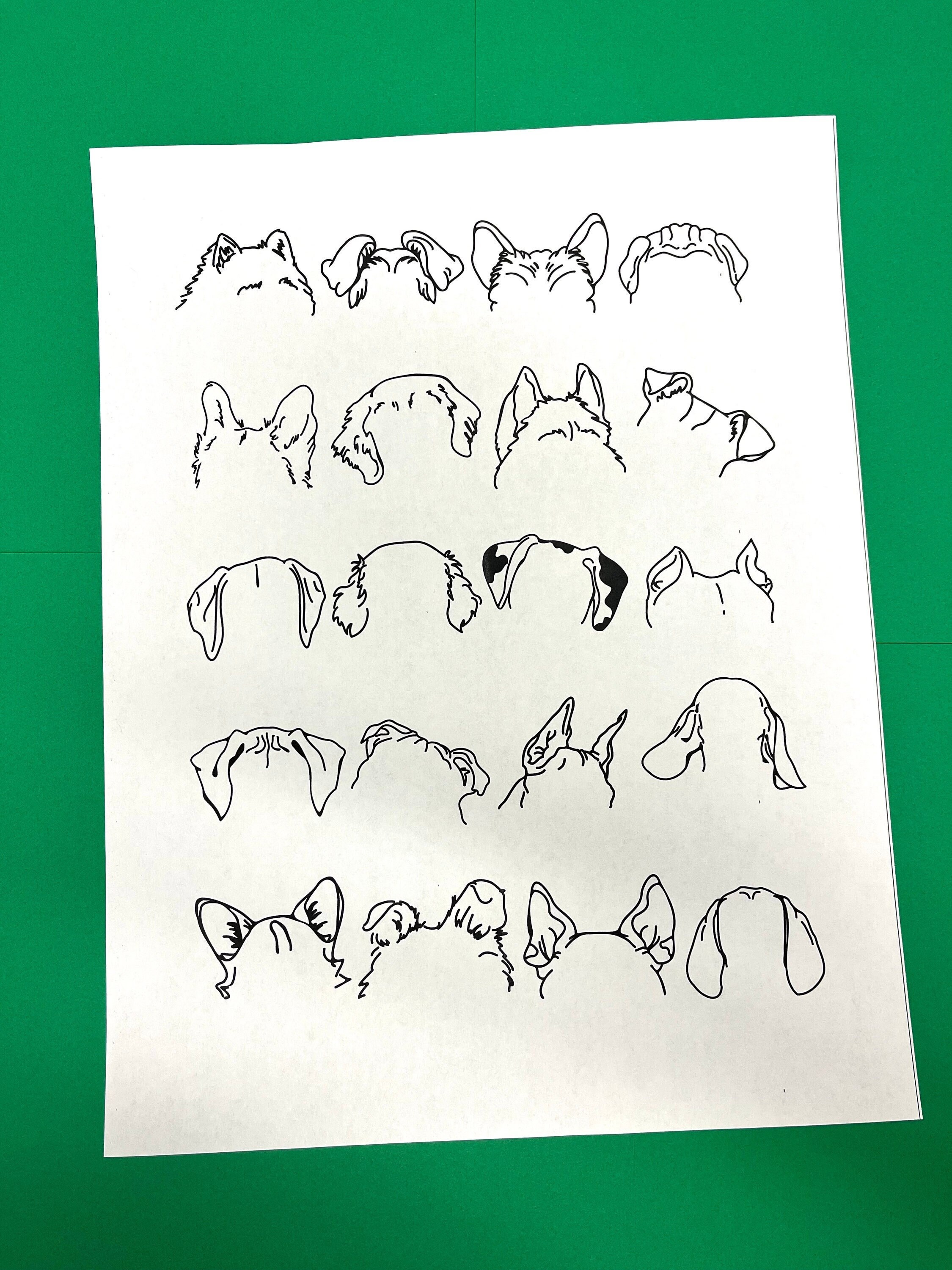 Dog Ear Blank Coloring Sheet (20) - Etsy