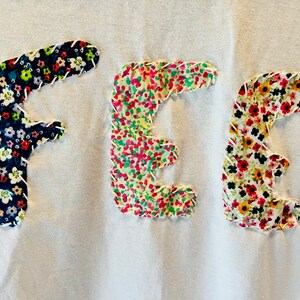 Phish T-Shirt - FEE (Handmade - no 2 are alike!)