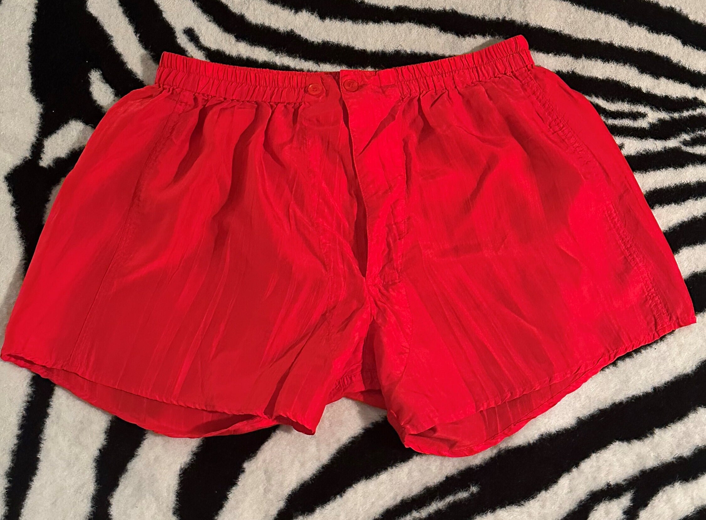 Christian Dior Boxer Etsy