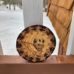 Frog wood burning coaster