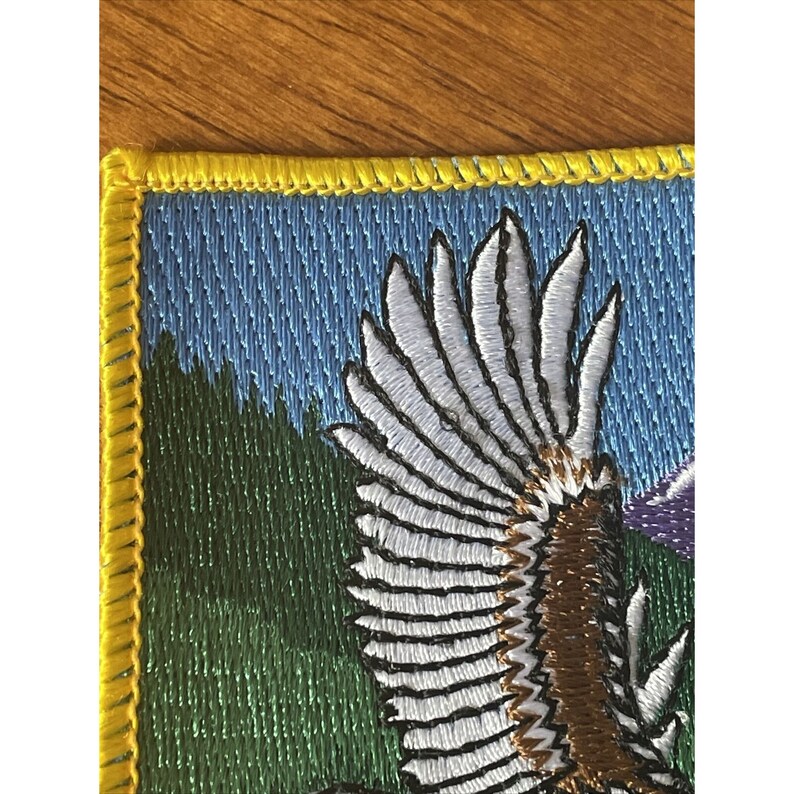 BSA Camp Lassen 1995 Boy Scouts Eagle Patch Vintage Etsy