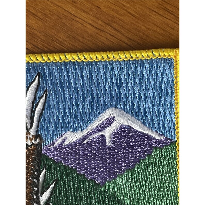 BSA Camp Lassen 1995 Boy Scouts Eagle Patch Vintage Etsy