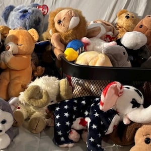 Vintage Beanie Baby Mystery Box – 3 Collectible 90s 00s TY Plush Toys – Rare & Retired