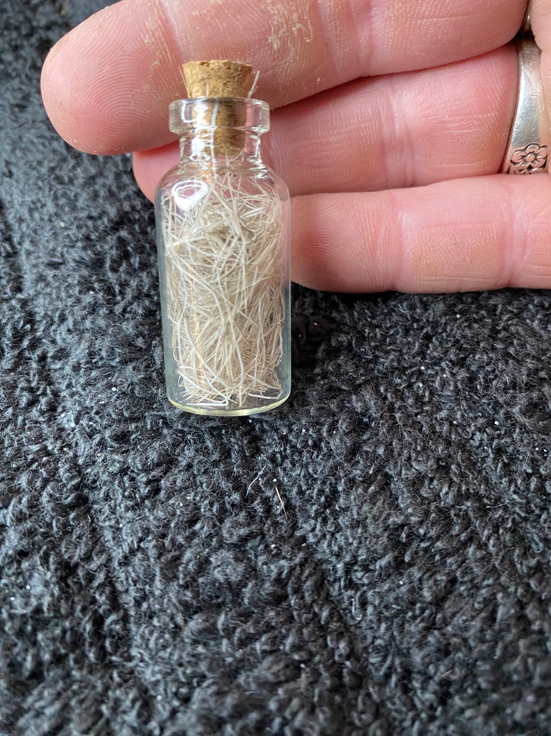 May include: A small glass bottle with a cork stopper filled with white fibers. The bottle is held in a hand.