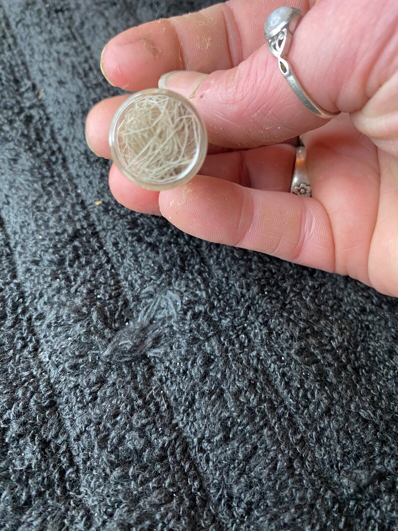 May include: A small clear glass vial filled with white hair.