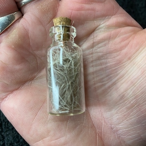 May include: A small glass bottle with a cork stopper filled with white and gray fibers.