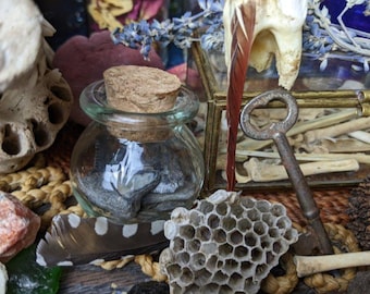 Medium Oddity Mystery Box