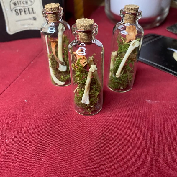 Botellas de terrario Oddity