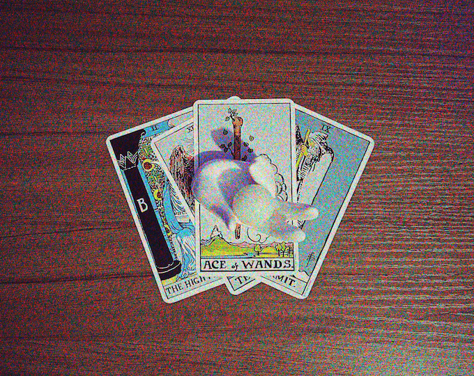Mediumship Tarot Reading