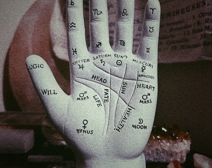 Palm Reading