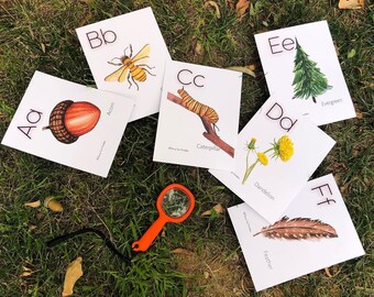 Nature Alphabet Printable - Etsy