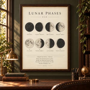 Puede incluir: Un póster educativo enmarcado titulado Lunar Phases, que presenta ocho ilustraciones circulares de los ciclos lunares, desde la luna nueva hasta el cuarto menguante. La impresión color crema incluye texto descriptivo y notas.