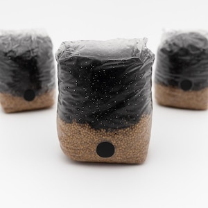 All in One Mushroom Grow Bag