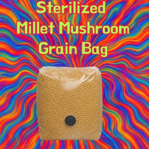 Sterilized Millet Mushroom Grain Bags 2.5lbs