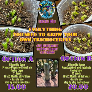 Trichocereus Sacred Cactus Germination Kits
