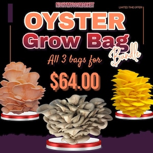May include: An image advertising an oyster mushroom grow bag bundle. The text reads "OYSTER Grow Bag Bundle" and "All 3 bags for $64.00". The image displays three varieties of oyster mushrooms: pink, grey, and yellow.