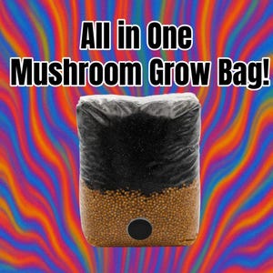 Like Magic!! All in One Mushroom Grow Bag