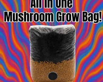 Like Magic!! All in One Mushroom Grow Bag