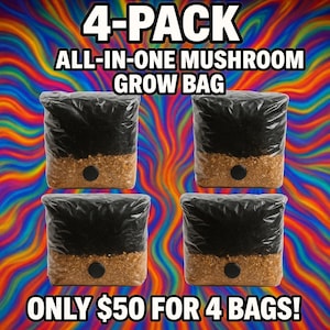 May include: Four clear plastic bags containing a layered substrate of dark soil and light brown grain, each featuring a black circular filter patch. The text 4-PACK ALL-IN-ONE MUSHROOM GROW BAG and ONLY $50 FOR 4 BAGS! is printed in white.