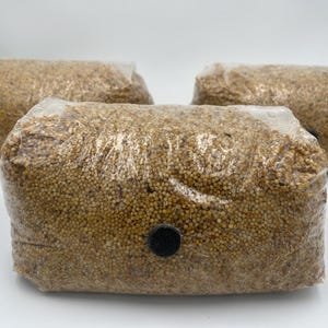 PADDESTOEL GRAANZAK!!!!!! 5# gierst biologisch, ggo-vrij