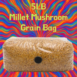 MUSHROOM GRAIN BAG!!!!!! 5# Millet Organic Gmo Free