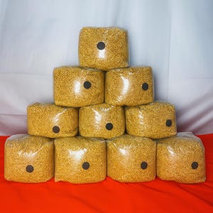 Steralized Mushroom Grain Bags 2.5lbs