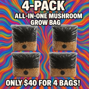 All in One Mushroom Grow Bag 4 PACK!!