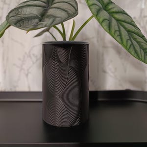 Könnte beinhalten: Eine Topfpflanze mit großen, strukturierten Blättern in einem schwarzen, zylindrischen Pflanzgefäß. Die Blätter sind eine Mischung aus Grün und Silber, mit ausgeprägter Maserung. Der Pflanztopf hat ein sich wiederholendes, gebogenes Muster.