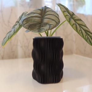May include: A black, textured, wavy-patterned planter pot holding a plant with large, textured, green leaves. The leaves have prominent veins and a light green hue. The pot is cylindrical and sits on a white surface.