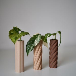 ROOTSY plant propagation tube vases