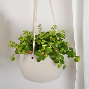 Jardinière suspendue texturée moderne | Pot minimaliste imprimé en 3D, déco bohème