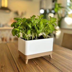 3D Printed Herb Planter: Modern White PLA Kitchen Pot