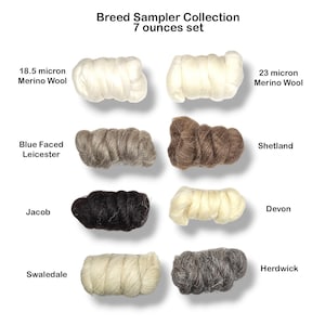 May include: A collection of seven 1-ounce samples of wool from different sheep breeds. The wool samples are arranged in two rows of four, with the breed name listed below each sample. The breeds included are: 18.5 micron Merino Wool, 23 micron Merino Wool, Blue Faced Leicester, Shetland, Jacob, Devon, Swaledale, and Herdwick.