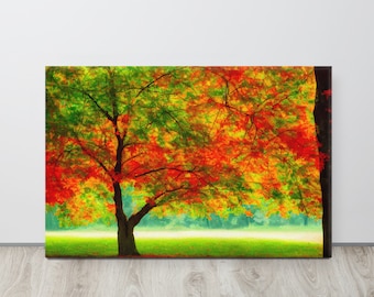 Autumn Forest, Canvas Print, Autumn Forest , Canvas Art, Autumn Forest Autumn, Wall Art Forest Canvas