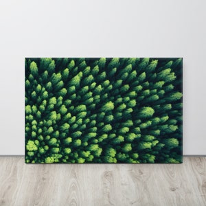 森の壁アート、特大の壁アートプリント、風景写真プリント、自然アート、森のプリント、風景の壁アート、壁用アートワーク