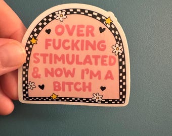 Overfuckingstimulated & Now I'm a Bitch Waterproof Sticker, Pink and Black Checkered Sticker, Feminine Rage, Neurodivergent