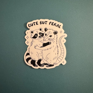 Cute But Feral Sticker, Raccoon and Opossum Friends Sticker, Trash Critters Sticker, Quirky Gift, Kindle Sticker, Water Bottle Sticker