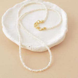 May include: A delicate white pearl necklace with a gold clasp. The necklace is displayed on a white ceramic dish.