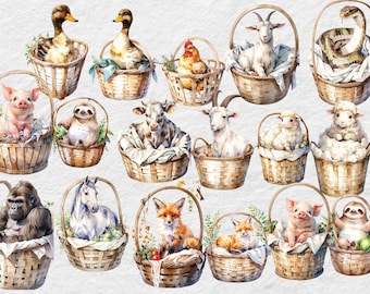 Cute Animals in a Basket Watercolor | PNG Digital Files | Woodland Baby Shower Nursery, Boho Forest Animals, Cute Baby Animals PNG