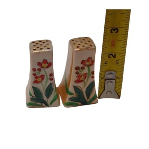 K&ouml;nnte beinhalten: Ein Paar vintage Salz- und Pfefferstreuer mit Blumenmuster. Die Streuer sind wei&szlig; mit roten und gr&uuml;nen Blumen und goldenen Akzenten. Sie sind etwa 5 cm hoch.