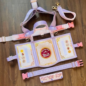 Custom Y front harness & detailed vinyl artwork cape