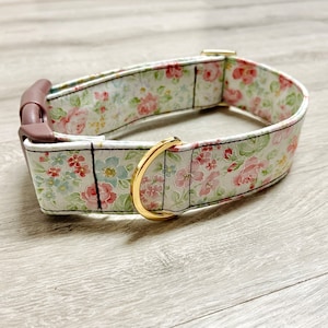 Custom dog collar