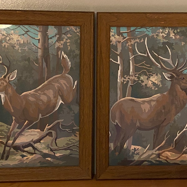 Paint by Number Deer Etsy