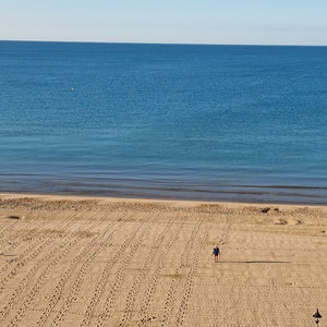 Metal Detectorist on Beach