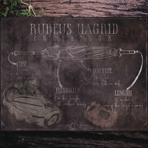 The Professors - Hagrid