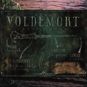 Death Eaters - Voldemort